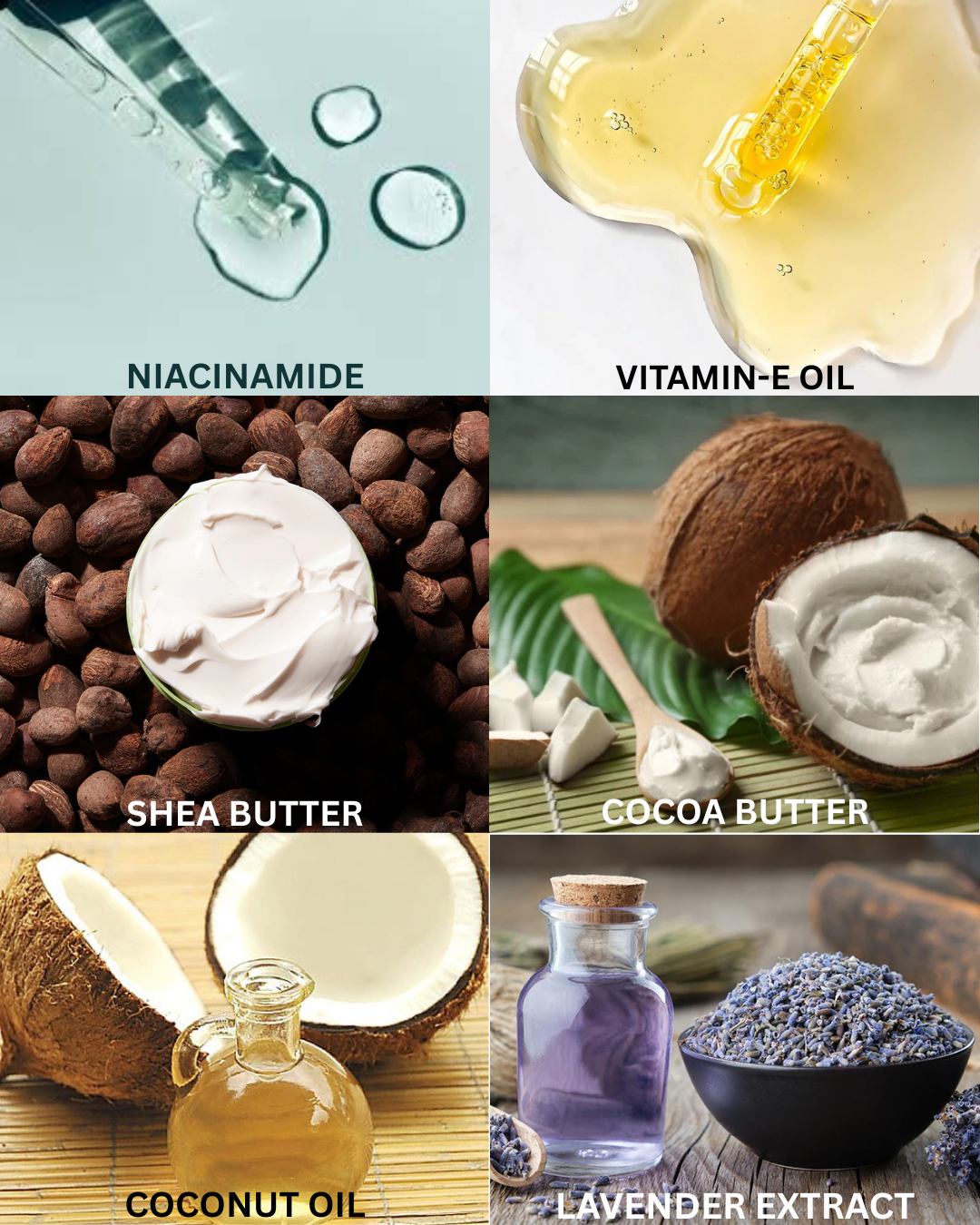 LavenDream Lush™ ✧ Lavender Skin Dessert